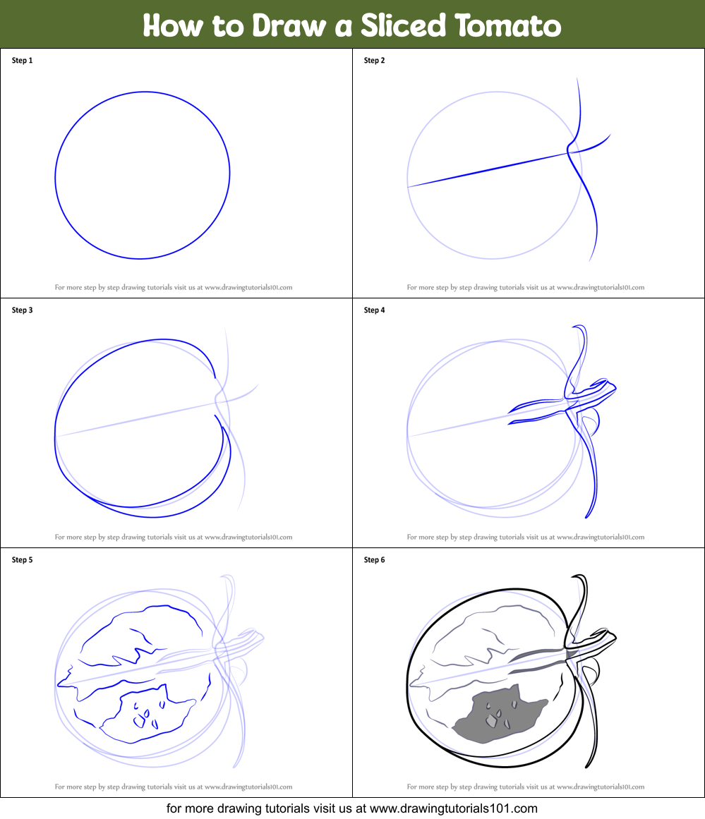 How to Draw a Sliced Tomato Printable Step by Step