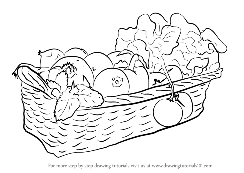 Cute Vegetable Basket Drawing Sketch for Beginner