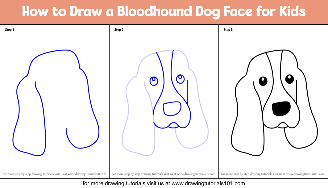 How to Draw a Bloodhound Dog Face for Kids Printable Step by Step