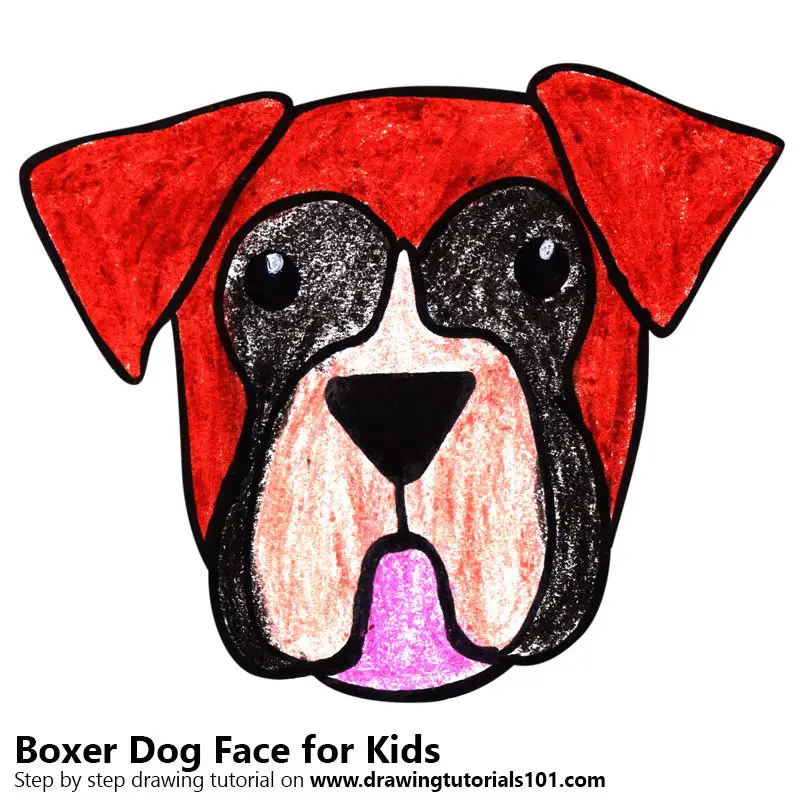 Learn How To Draw A Boxer Dog Face For Kids Animal Faces - how to draw roblox character boxing