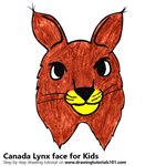 How to Draw a Canada Lynx face for Kids