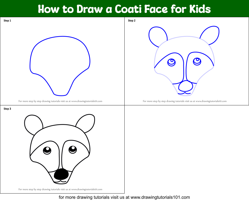 How to Draw a Coati Face for Kids Printable Step by Step