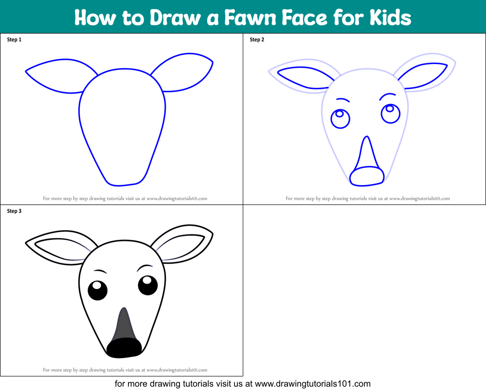 How to Draw a Fawn Face for Kids Printable Step by Step