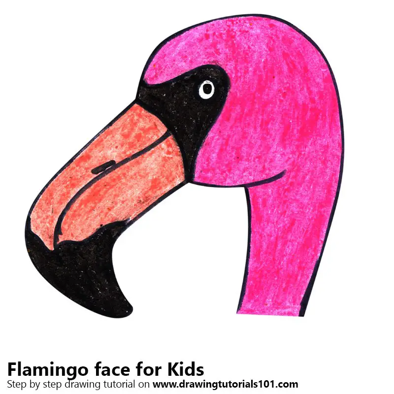 How to draw a flamingo - how to draw | findpea.com