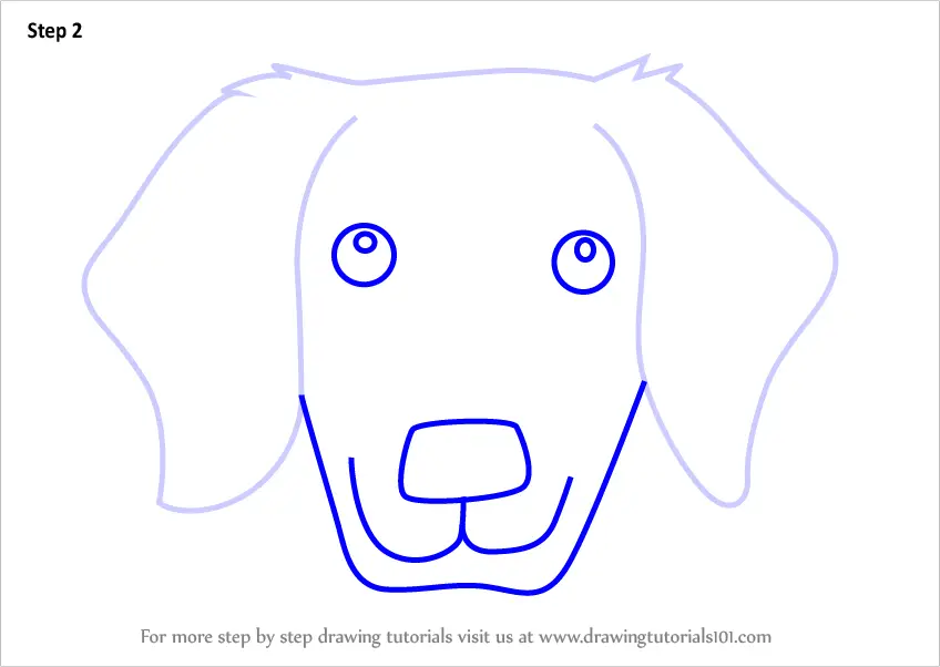 How to Draw a Golden Retrivever Dog Face for Kids (Animal Faces for ...