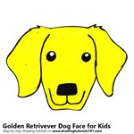 How to Draw a Golden Retrivever Dog Face for Kids
