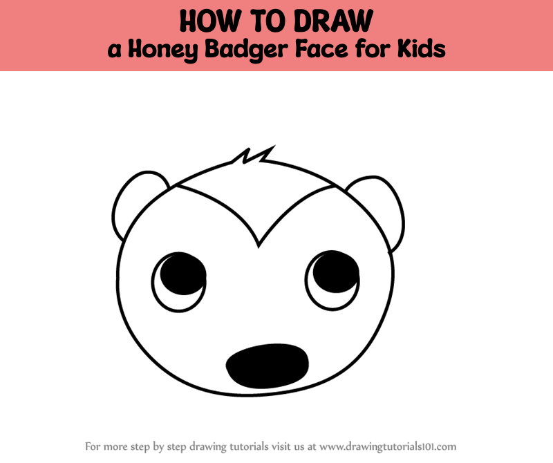 How to Draw a Honey Badger Face for Kids (Animal Faces for Kids) Step