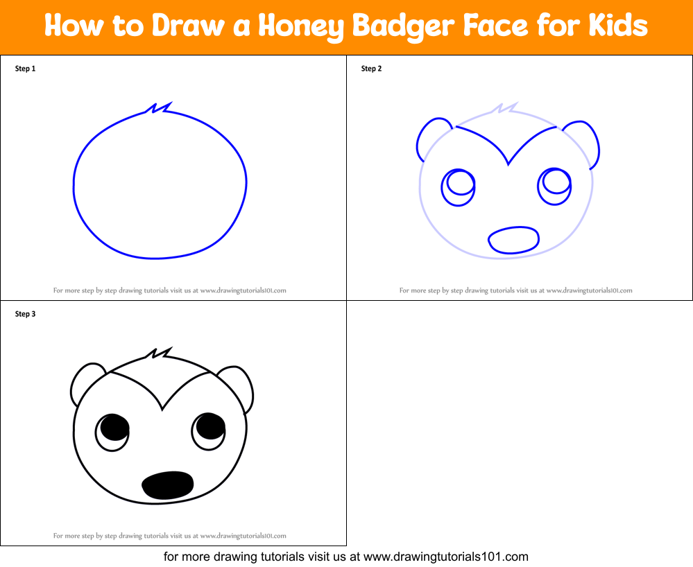 How to Draw a Honey Badger Face for Kids Printable Step by Step