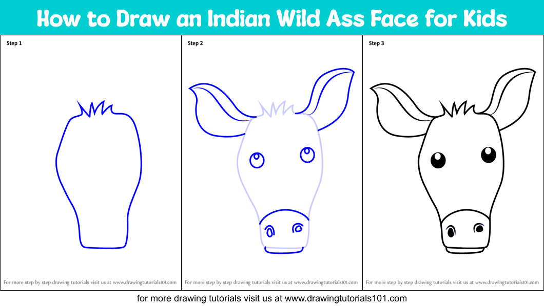 How to Draw an Indian Wild Ass Face for Kids Printable Step by Step