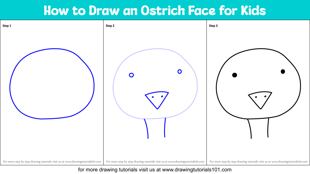 How to Draw an Ostrich Face for Kids Printable Step by Step