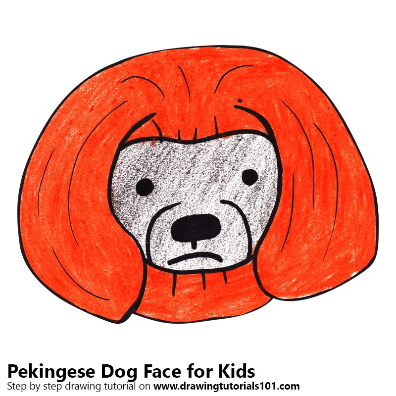 Learn How to Draw a Pekingese Dog Face for Kids (Animal Faces for Kids