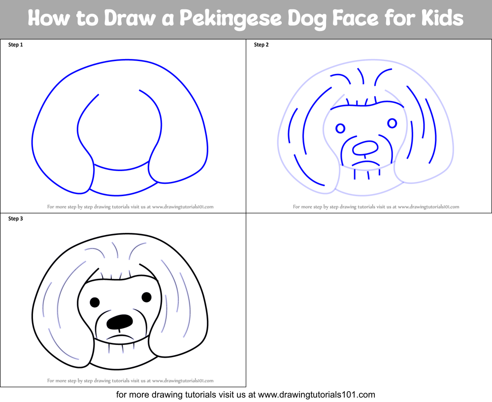 How to Draw a Pekingese Dog Face for Kids Printable Step by Step