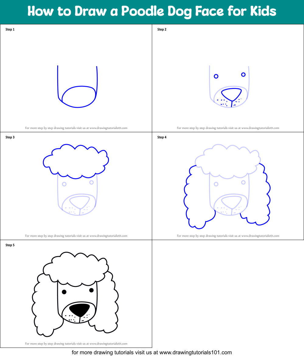 How to Draw a Poodle Dog Face for Kids Printable Step by Step