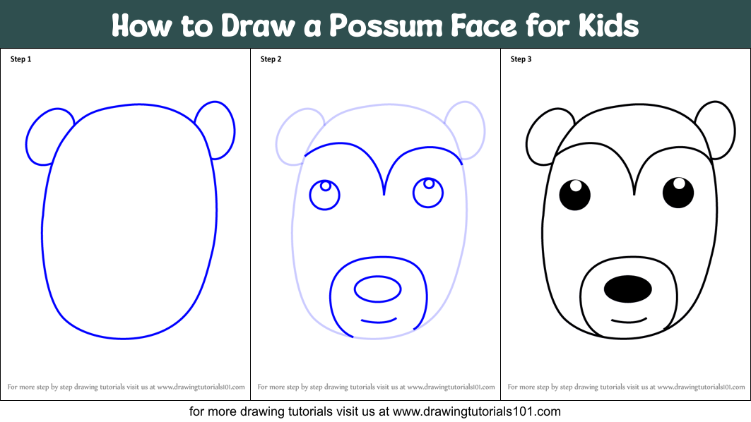 How to Draw a Possum Face for Kids Printable Step by Step