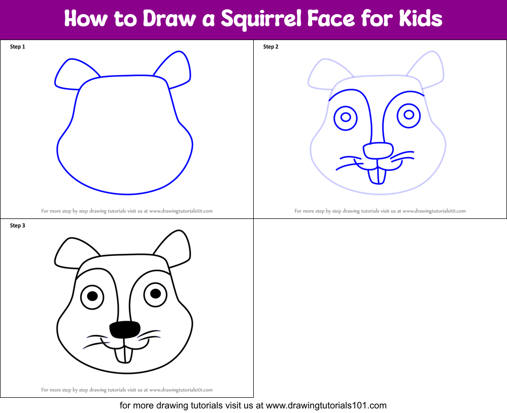 How to Draw a Squirrel Face for Kids Printable Step by Step