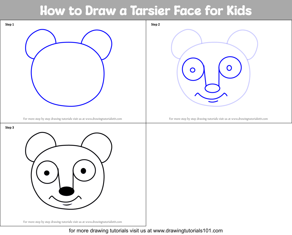 How to Draw a Tarsier Face for Kids Printable Step by Step