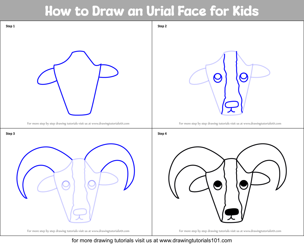 How to Draw an Urial Face for Kids Printable Step by Step