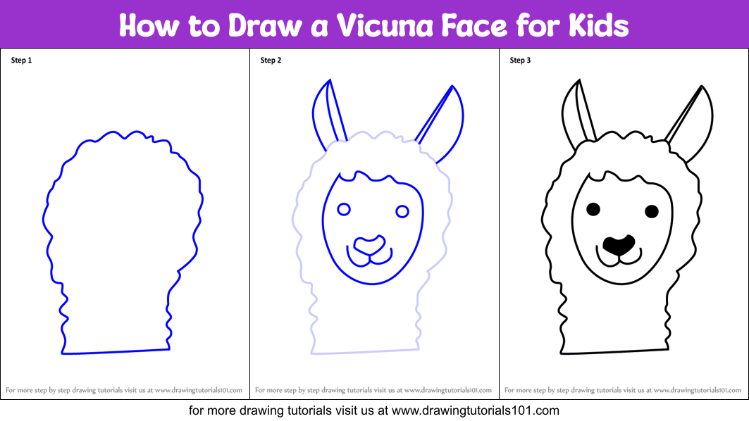 How to Draw a Vicuna Face for Kids Printable Step by Step
