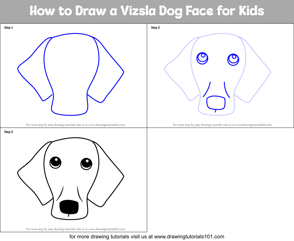 How to Draw a Vizsla Dog Face for Kids Printable Step by Step