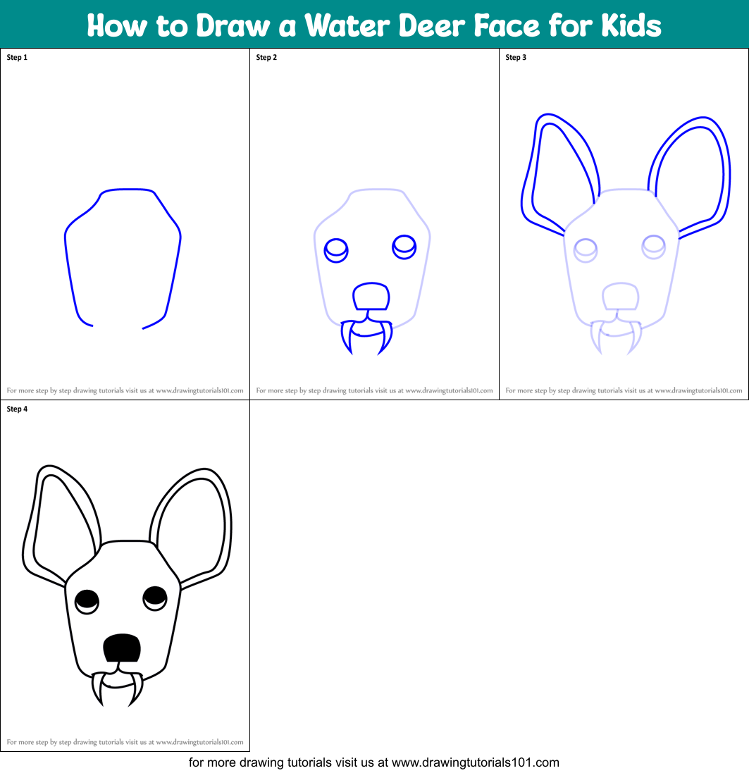 How to Draw a Water Deer Face for Kids Printable Step by Step