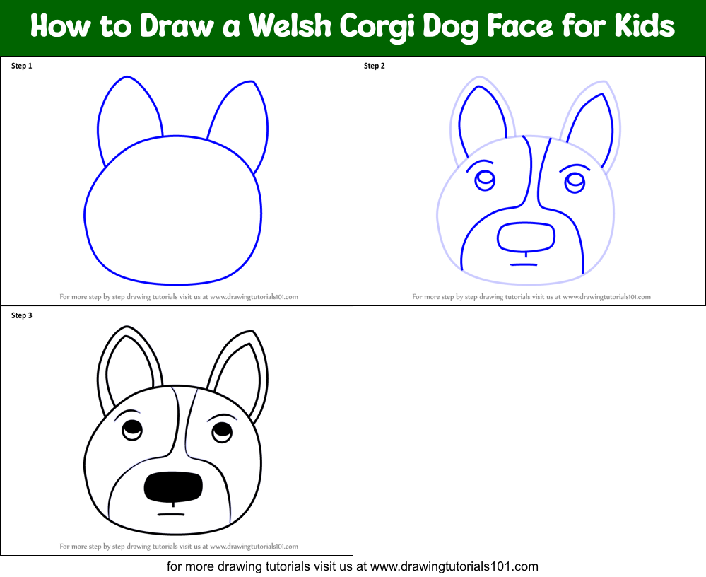 How to Draw a Welsh Corgi Dog Face for Kids Printable Step by Step