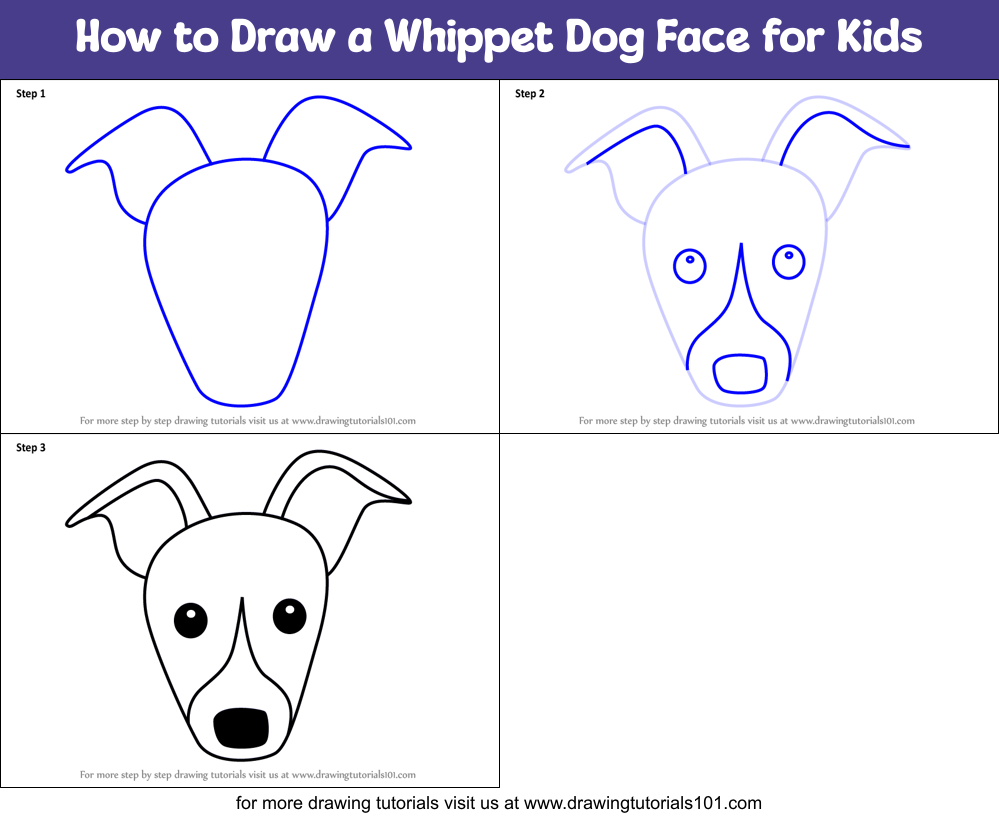 How to Draw a Whippet Dog Face for Kids Printable Step by Step