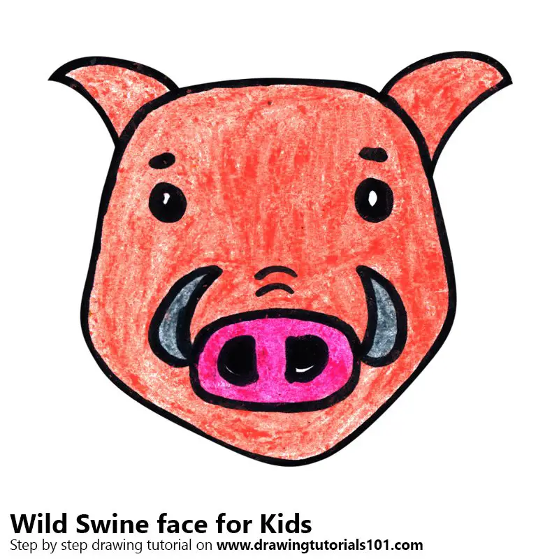 Learn How to Draw a Wild Swine Face for Kids (Animal Faces for Kids) Step  by Step : Drawing Tutorials