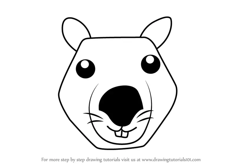 Learn How to Draw a Wombat face for Kids (Animal Faces for Kids) Step