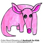 How to Draw an Aardvark for Kids