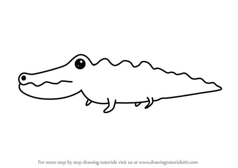 Learn How to Draw an Alligator for Kids (Animals for Kids) Step by Step