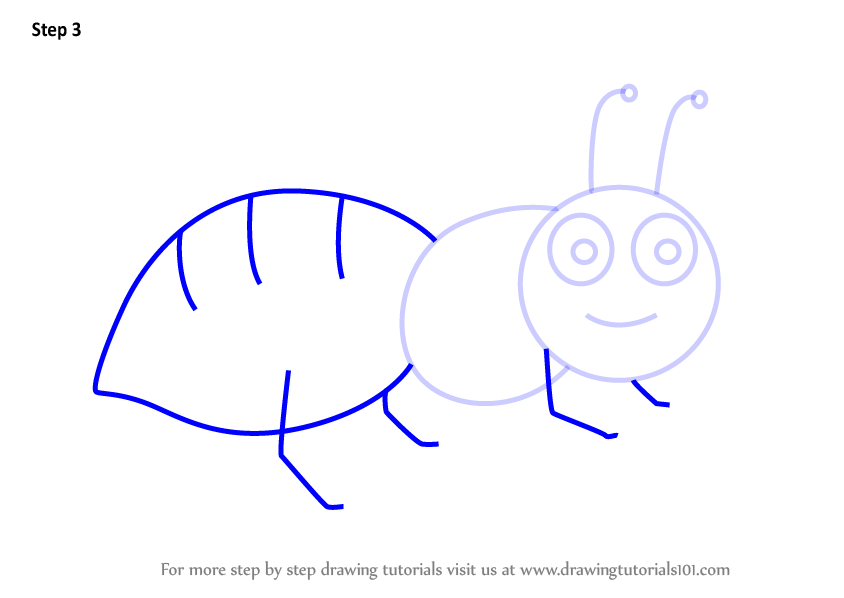 Learn How to Draw an Ant for Kids (Animals for Kids) Step by Step