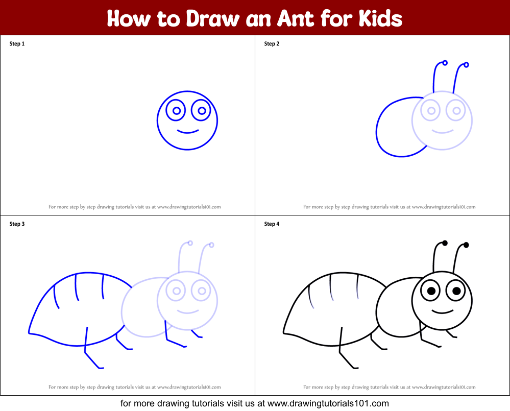 How to Draw an Ant for Kids Printable Step by Step