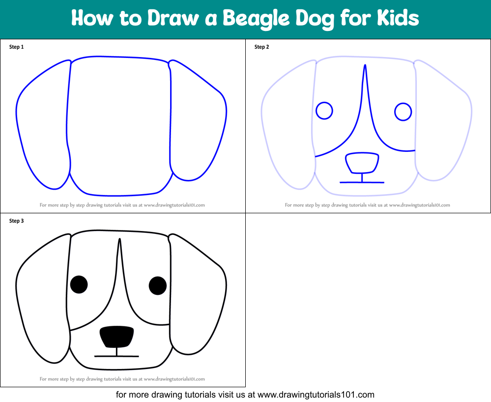 How to Draw a Beagle Dog for Kids Printable Step by Step