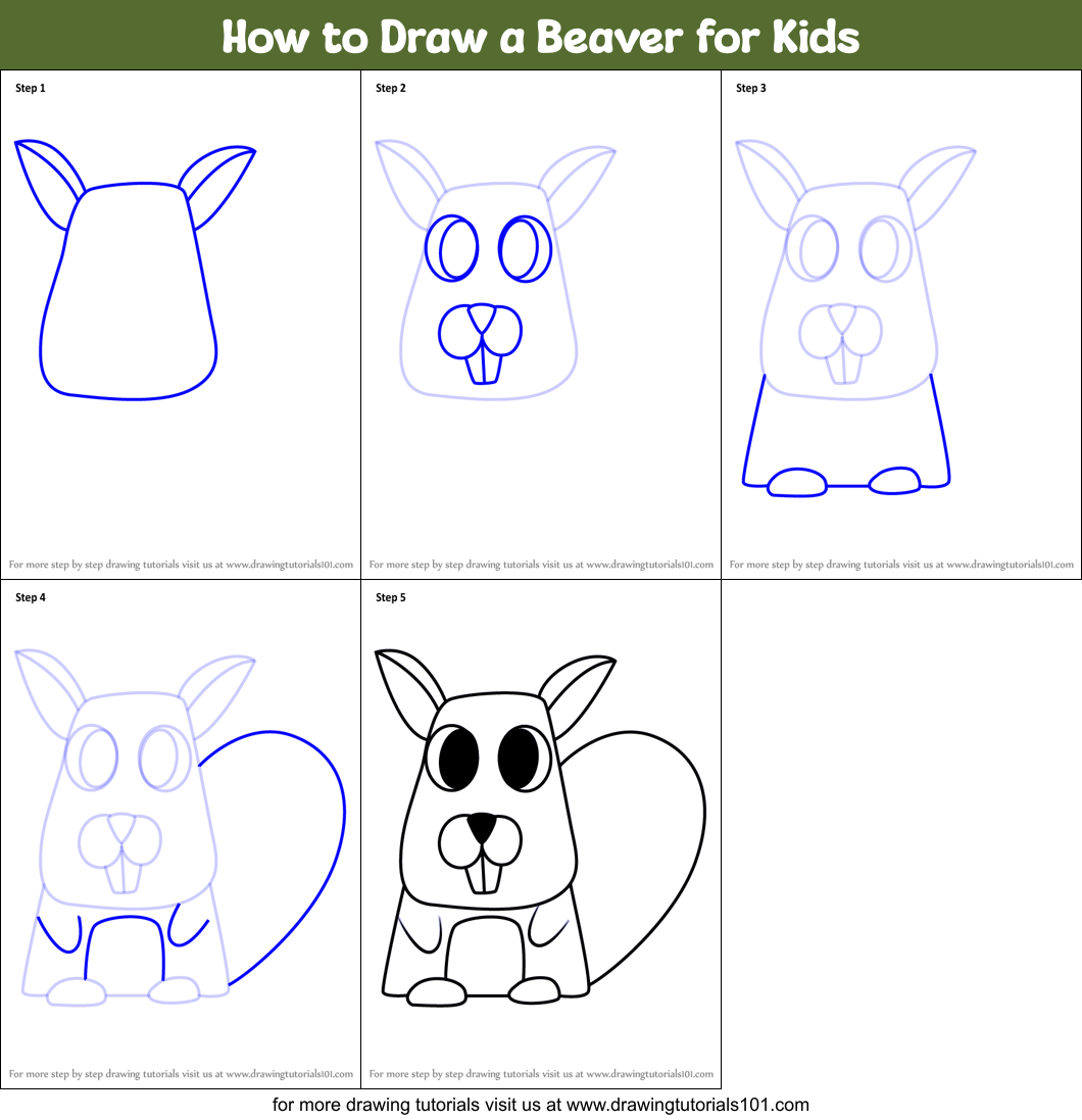 How to Draw a Beaver for Kids Printable Step by Step