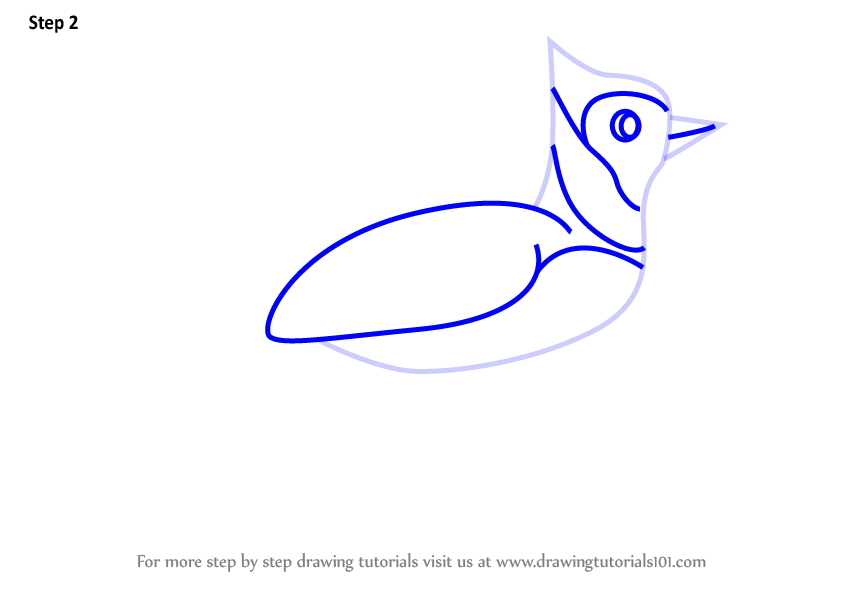 Learn How To Draw A Blue Jay Bird For Kids Animals For Kids Step By Step Drawing Tutorials