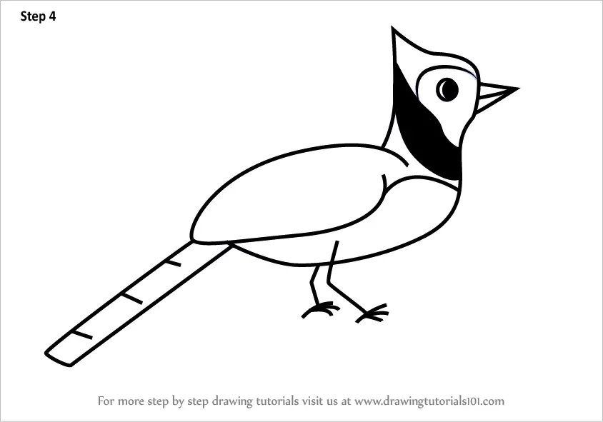 Learn How To Draw A Blue Jay Bird For Kids Animals For Kids Step By Step Drawing Tutorials