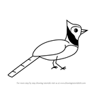 How to Draw a Blue Jay Bird for Kids