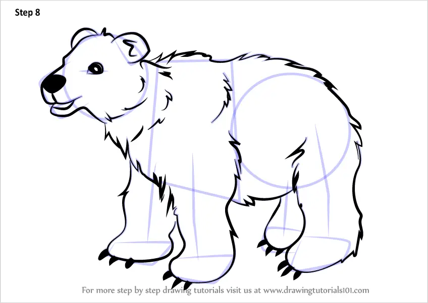 Step by Step How to Draw Brown Bear for Kids : DrawingTutorials101.com