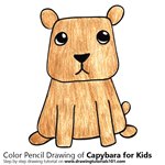 How to Draw a Capybara for Kids