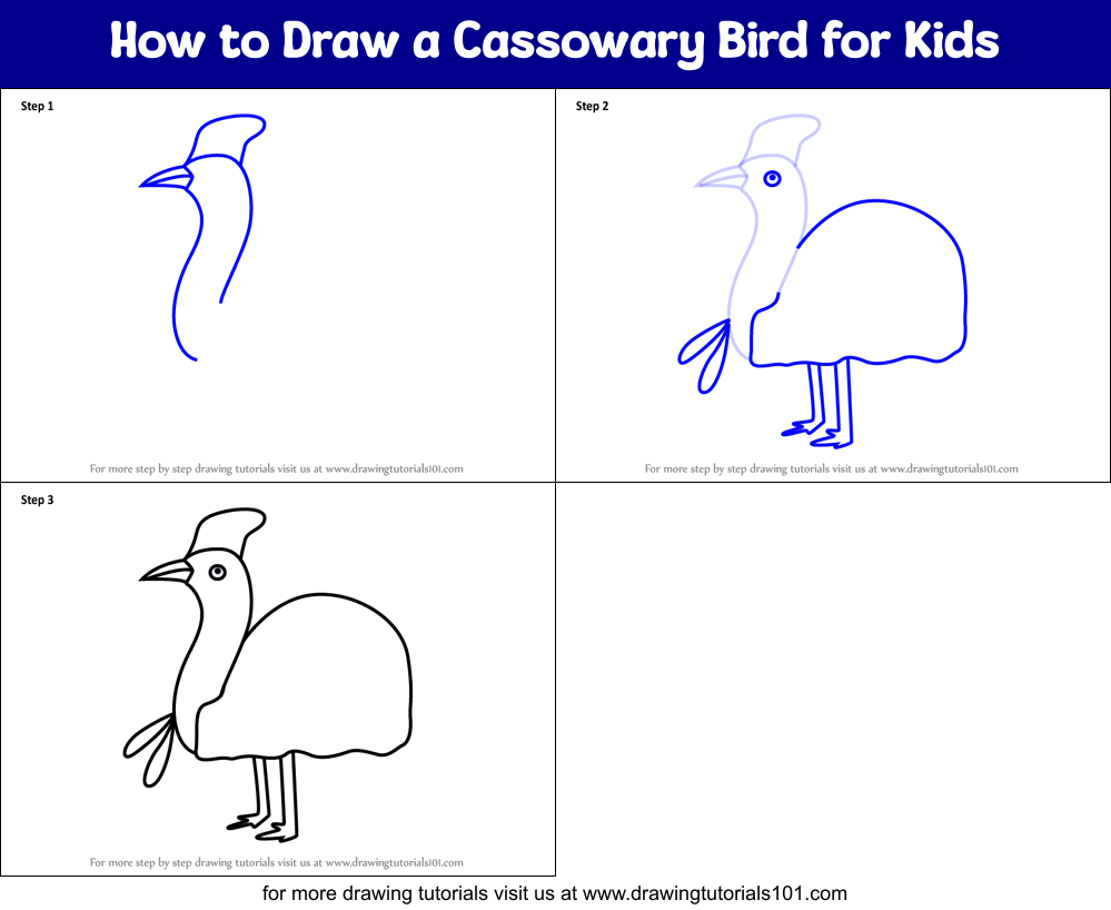 How to Draw a Cassowary Bird for Kids Printable Step by Step