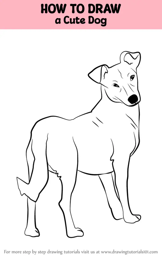 How to Draw a Cute Dog - DrawElementary.com-saigonsouth.com.vn