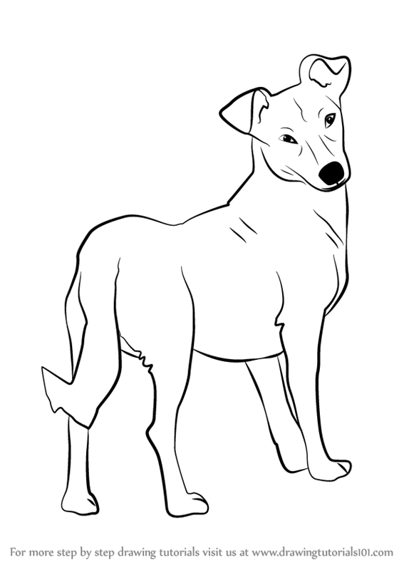 Learn How To Draw A Cute Dog Animals For Kids Step By Step Drawing Tutorials