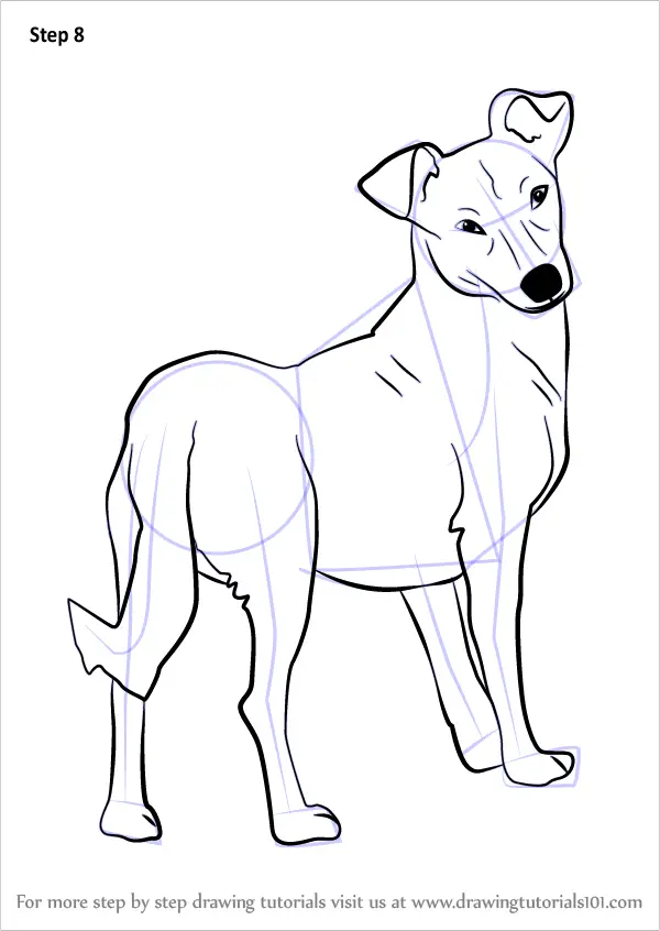 Learn How to Draw a Cute Dog (Animals for Kids) Step by Step : Drawing