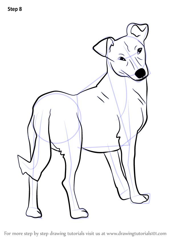 Learn How to Draw a Cute Dog (Animals for Kids) Step by Step : Drawing