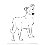 How to Draw a Cute Dog