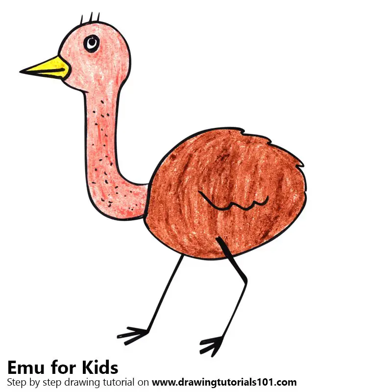 Learn How to Draw an Emu for Kids (Animals for Kids) Step by Step : Drawing  Tutorials