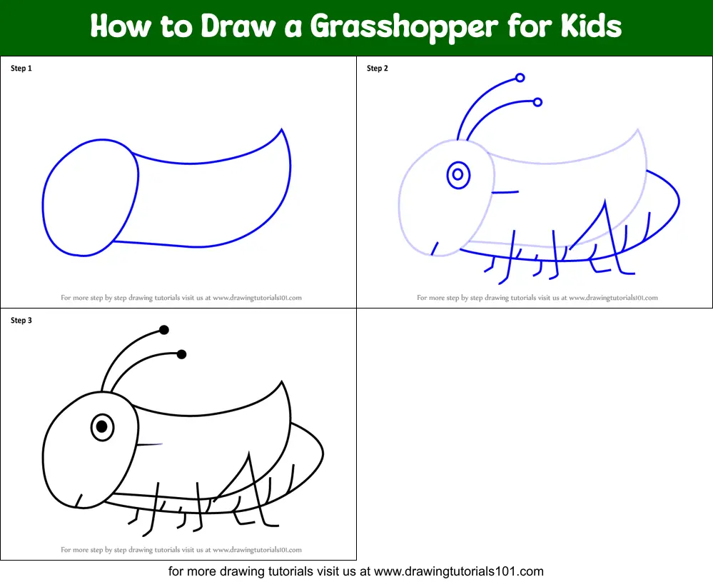 How to Draw a Grasshopper Warbler (Birds) Step by Step |  DrawingTutorials101.com