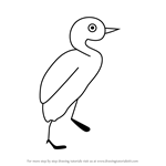 How to Draw a Grebe for Kids
