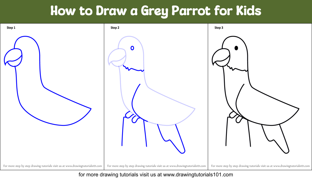 How to Draw a Grey Parrot for Kids Printable Step by Step