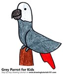 How to Draw a Grey Parrot for Kids